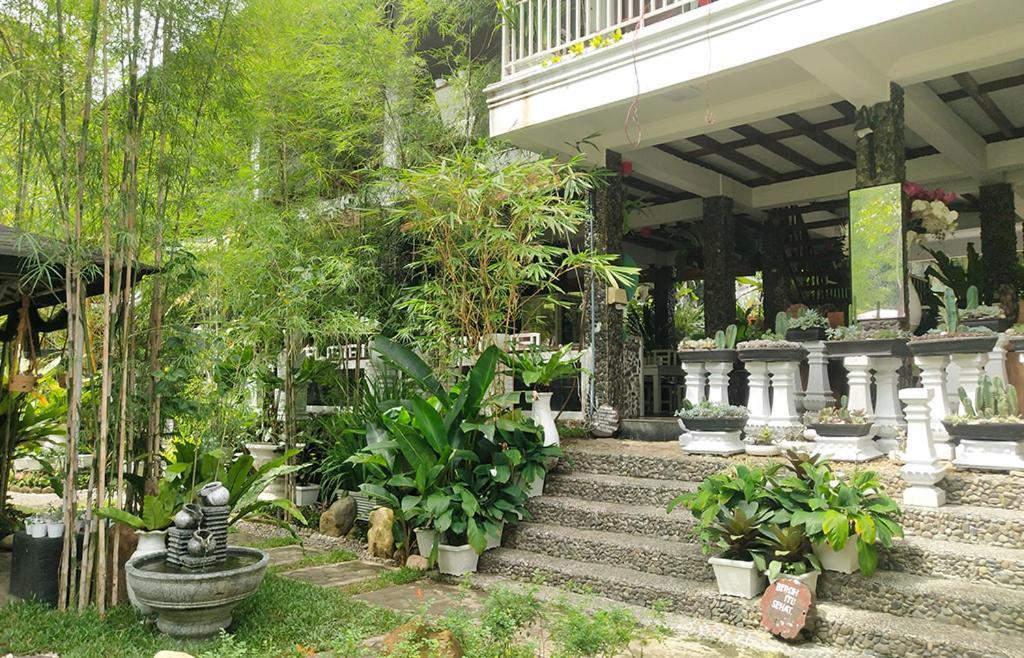 New The Heritage Resort & Restaurant Bukit Lawang Bandartelu Exterior foto
